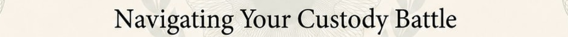 Synthetic sample certificate title field: Navigating Your Custody Battle.