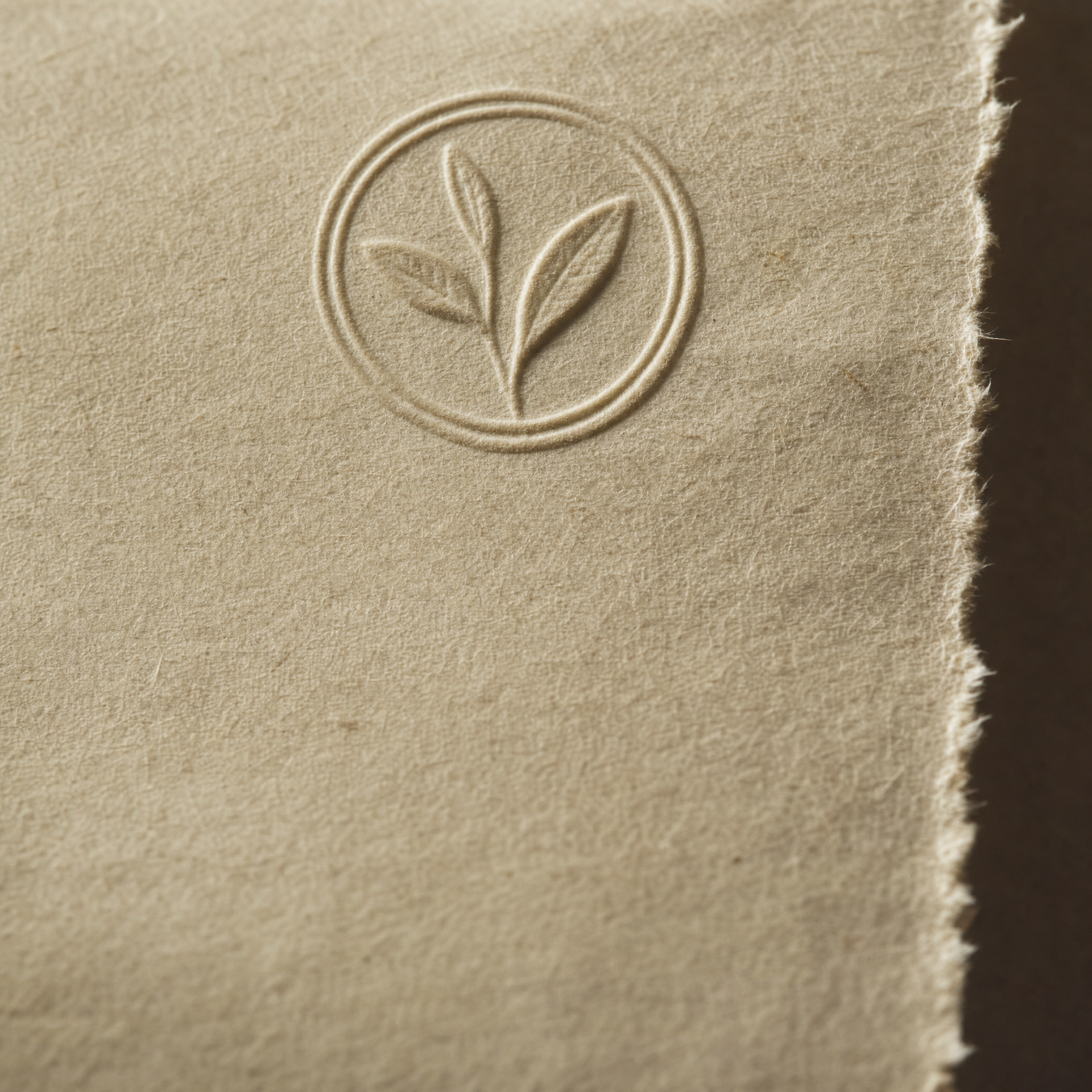 Macro detail of the embossed certificate seal on parchment